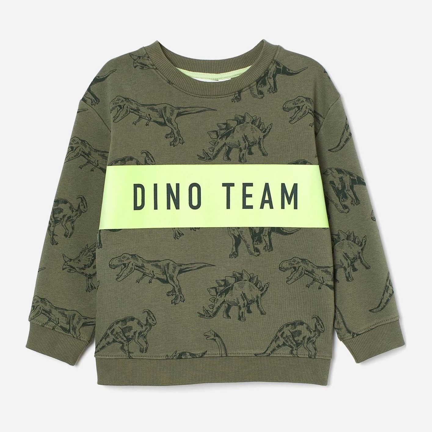 

Свитшот H&M 2110-924926 122-128 см Темно-зеленый/Динозавры