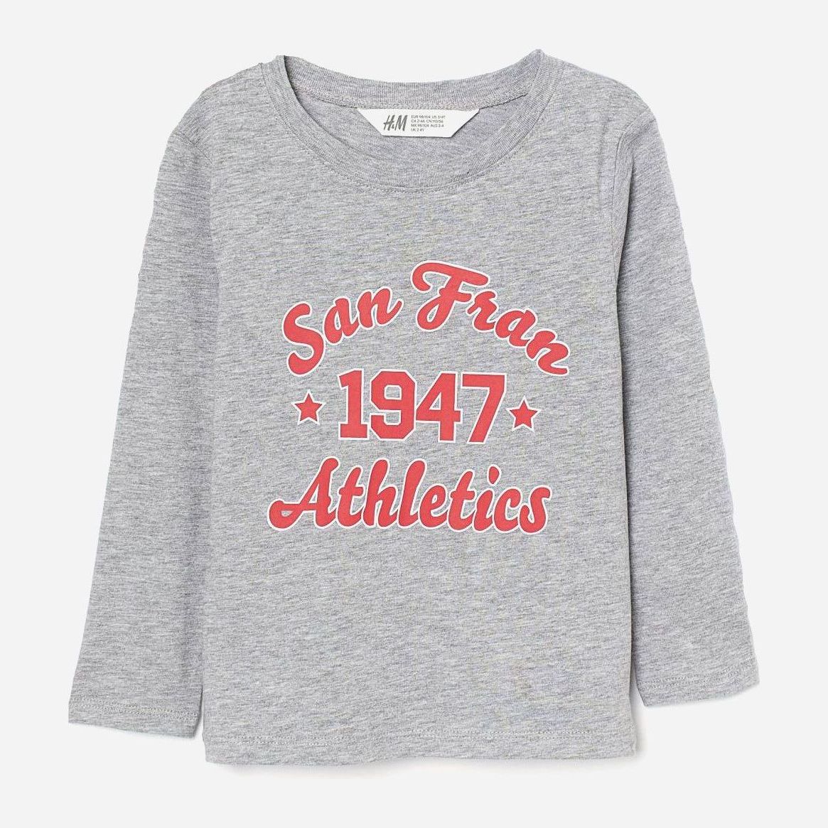 

Футболка с длинными рукавами H&M 2610-8731622 110-116 см Серый/Надписи