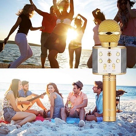 

Беспроводной Bluetooth караоке микрофон Wster DM Karaoke WS 858 с изменением голоса Золотой