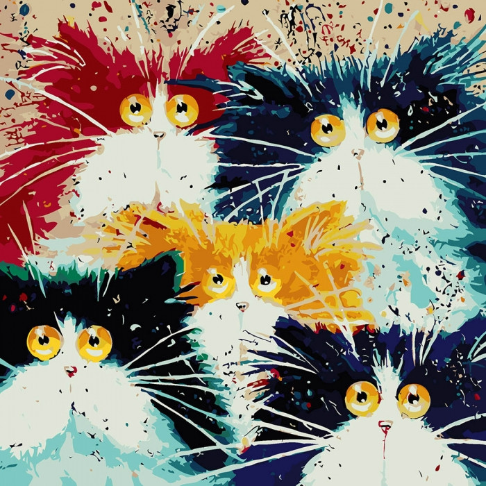 

Картина по номерам. "Удивленные коты" 40*40см