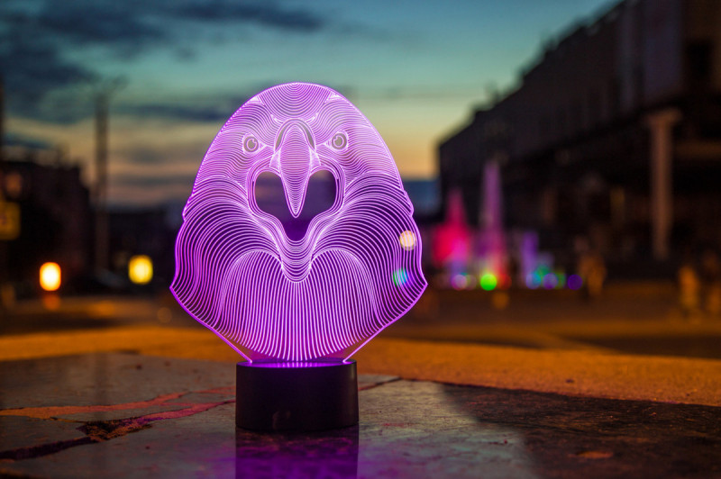 

Детский ночник - светильник "Орел" 3DTOYSLAMP