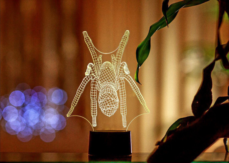 

Сменная пластина для 3D светильников "Паук" 3DTOYSLAMP