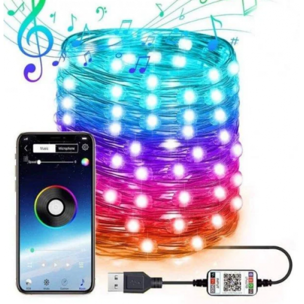 

Гирлянда новогодняя Smart LED Bluetooth 10 м (S88779)