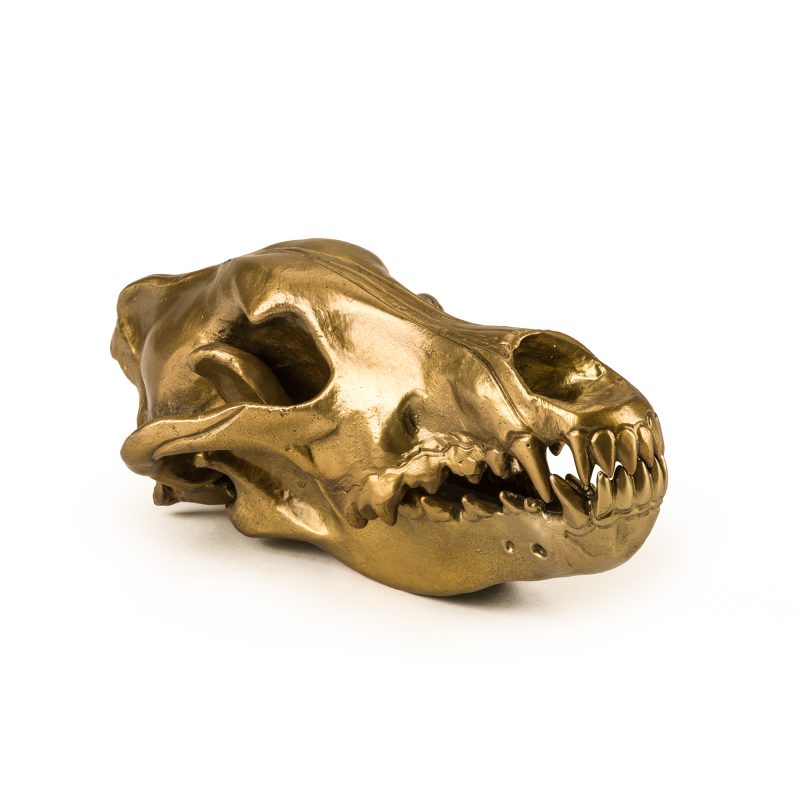 

Фигура волчий череп "Diesel-wolf skull' 14 x 28 х 12 см