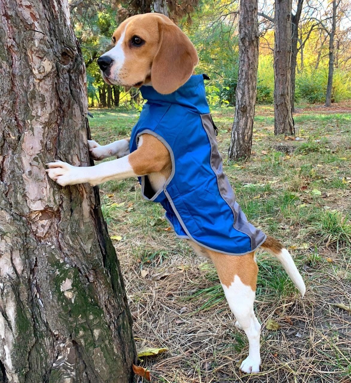 

Жилетка для собак NoblePet Supper Doggy 3XL Blue