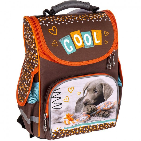 

Рюкзак школьный Space Cool dog 988809 33х26х26 см коричневый