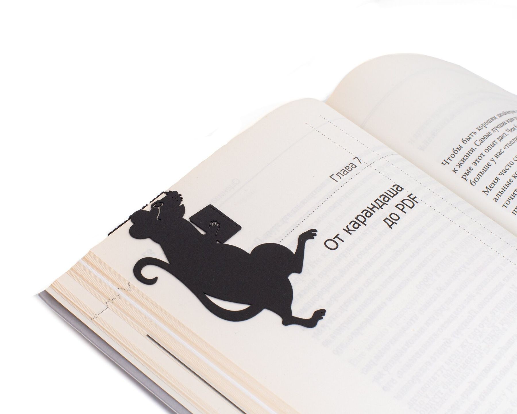 

Закладка для книг «Умная крыса» Art Republic