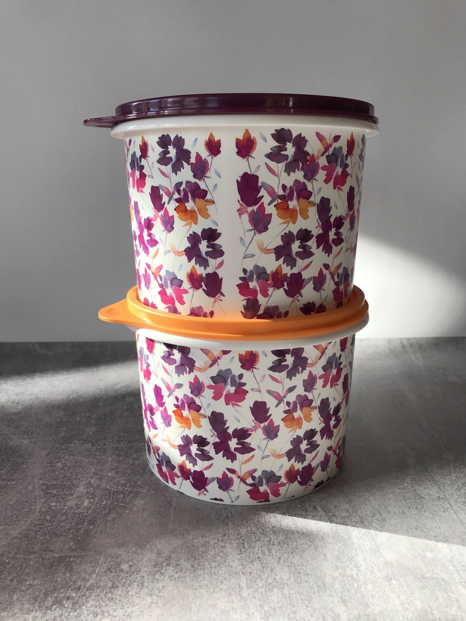 

Контейнер Осенние цветы и Листопад (1,1 л) 2 шт., Tupperware