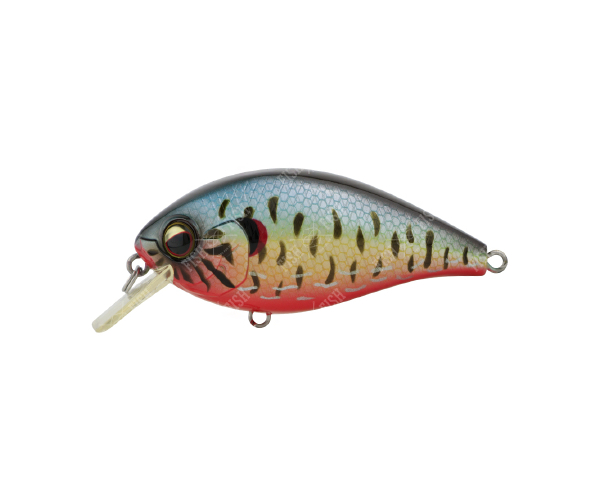 

Воблер EverGreen Combat Crank Shallow Hawg # 282 (арт.1234909932989)