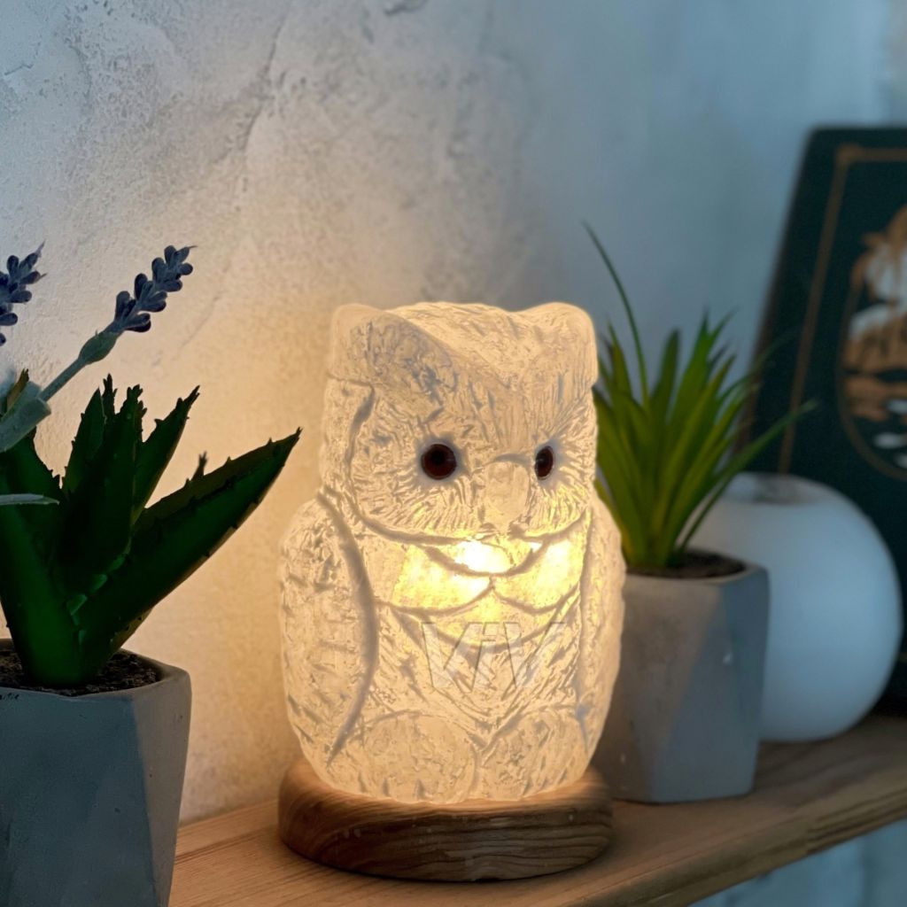 

Настольная соляная лампа- Ночник HealthLamp Филин с регулятором яркости, Светильник из Соли в подарочной упаковке