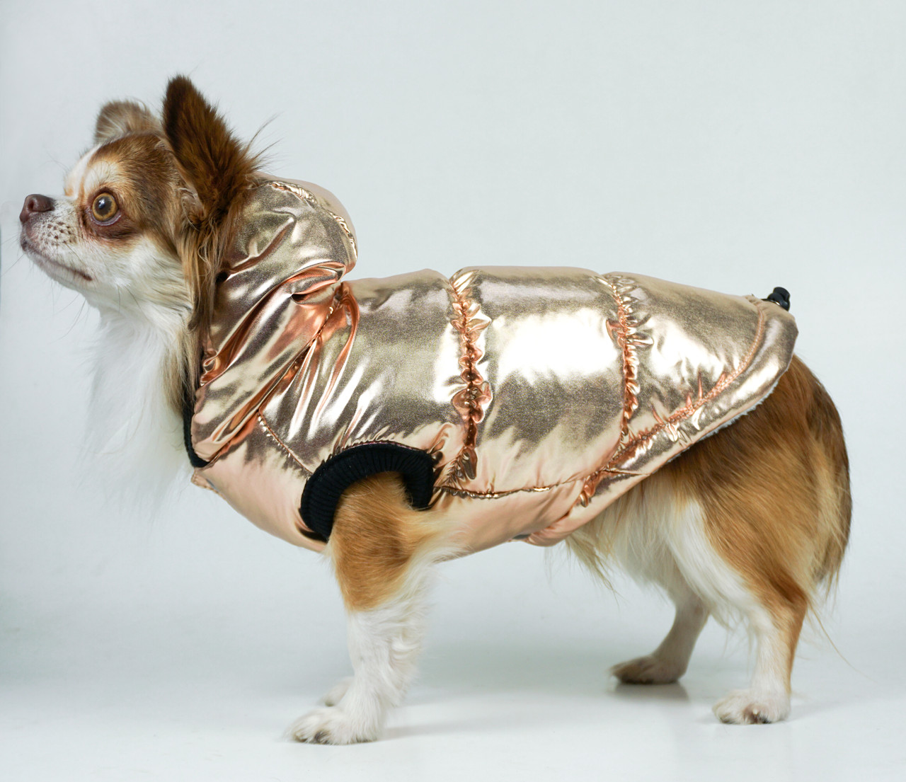 

Жилет для собак Gold Size 2-8 (-)
