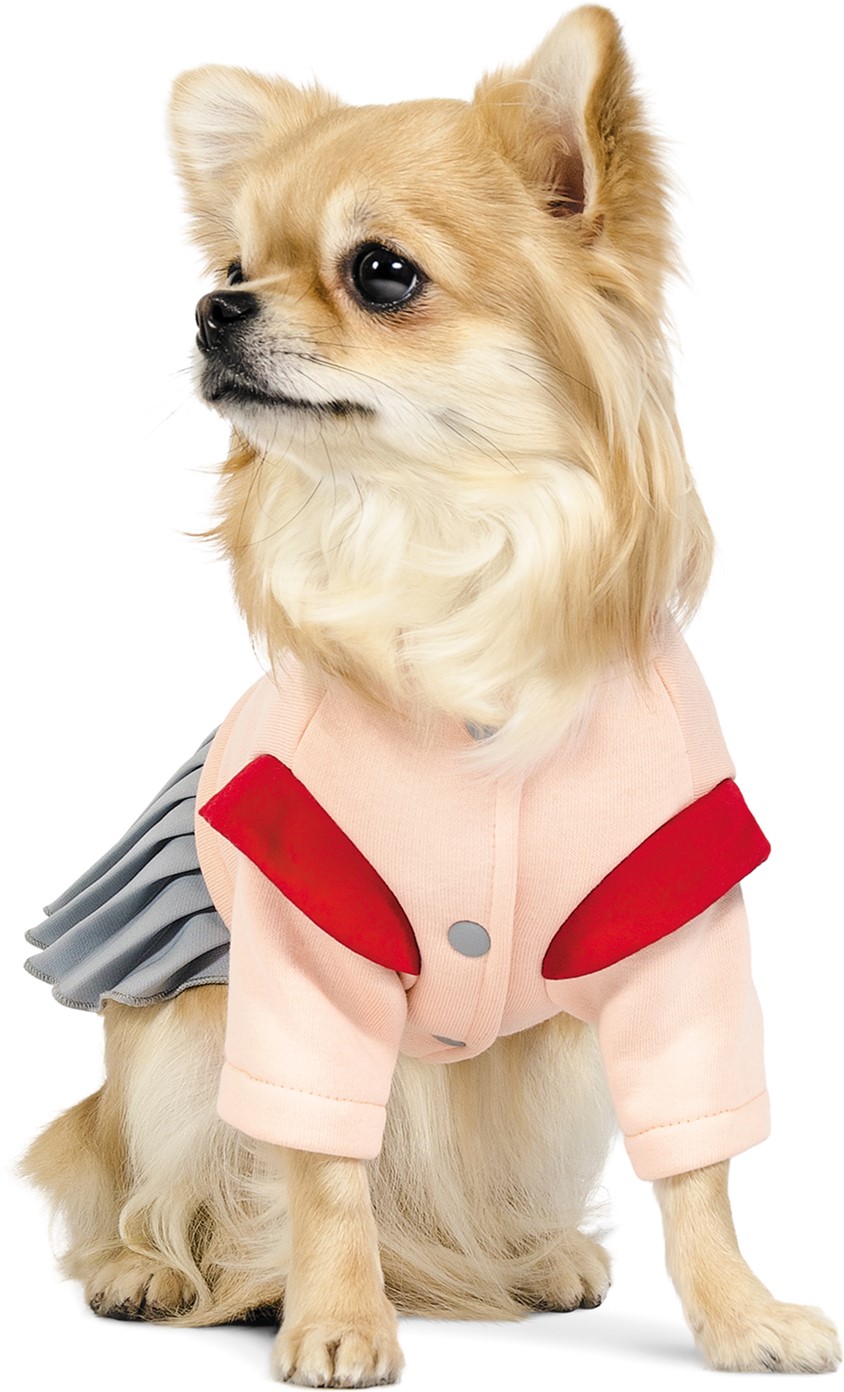 

Костюм Pet Fashion девочка Спейс XS2