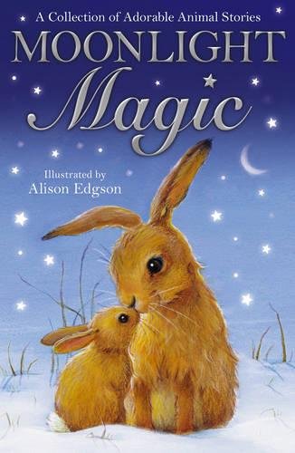 

Книга на английском языке Moonlight Magic от издательства Little Tiger Press из Великобритании