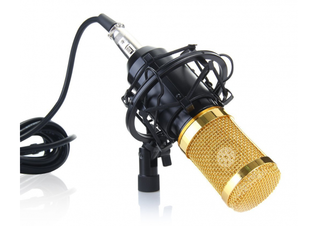 

Студийный конденсаторный микрофон MHZ DM-800 Black-gold (00631)