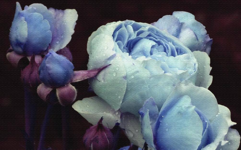 

Фотообои Арт-Обои Голубые цветы №36948 Декоративная штукатурка