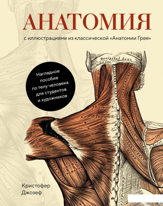 

Книга Анатомия. С иллюстрациями из классической «Анатомии Грея» (1294503)