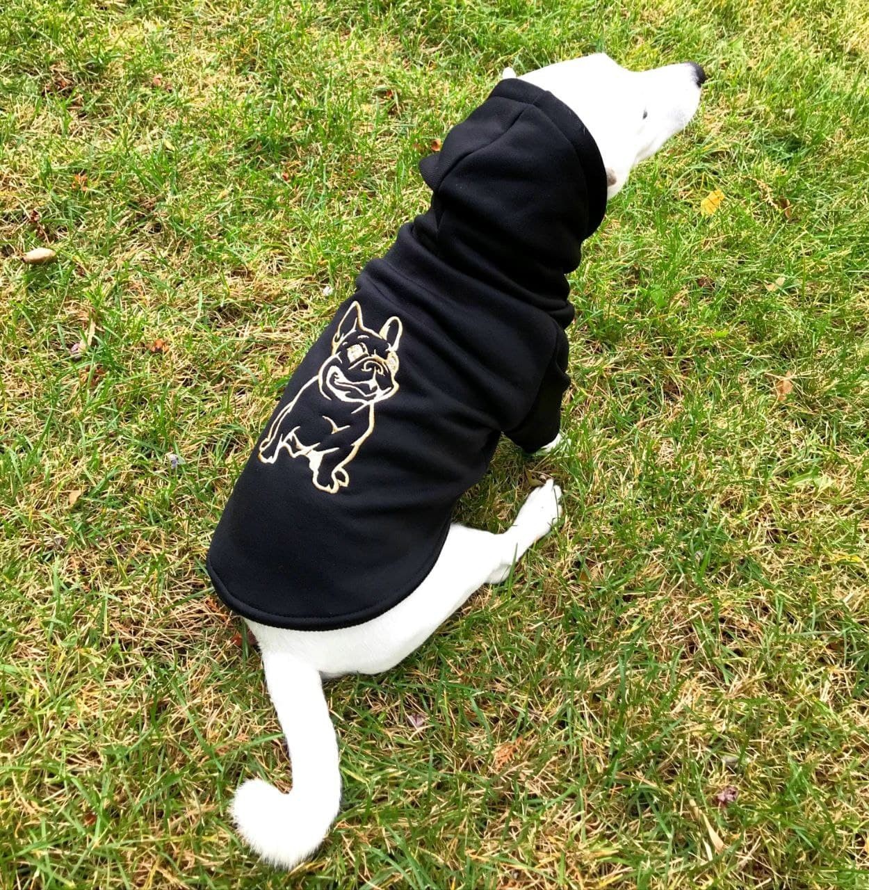 

Худи для собак DogClub Frenchdog M Black