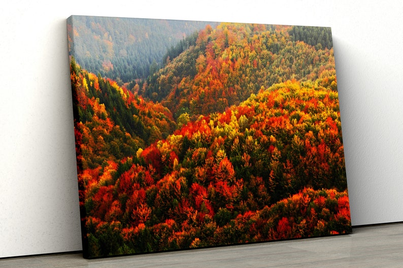 

Картина на холсте Осенний горный лес51x34 см (75)