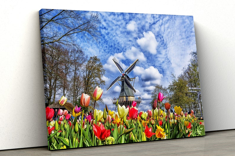

Картина на холсте Тюльпаны и ветряная мельница 81x54 см (339)