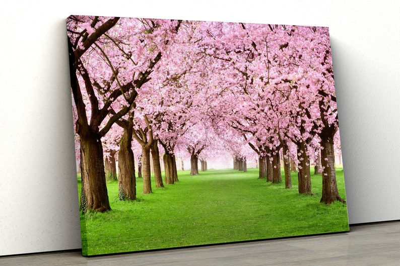

Картина на холсте Алея сакур 81x54 см (394)