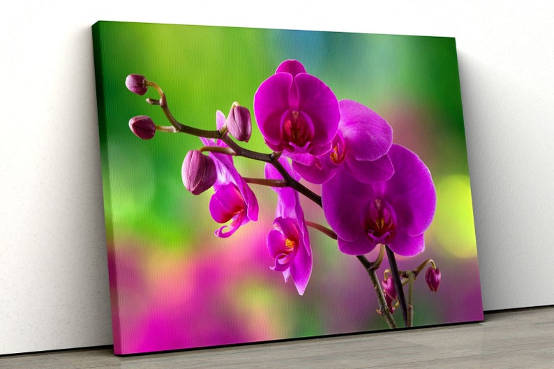 

Картина на холсте Малиновая орхидея51x34 см (389)