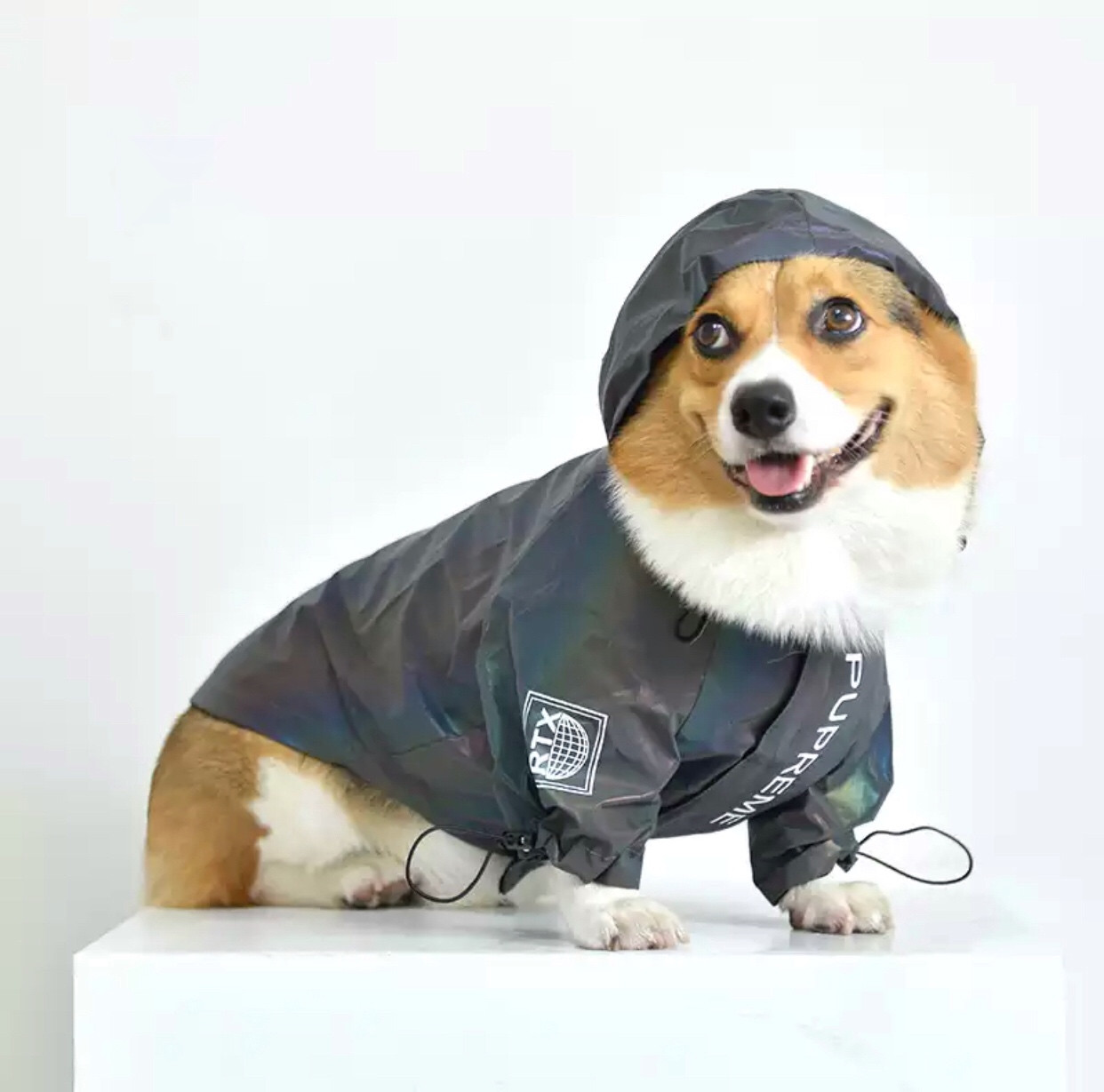 

Куртка-ветровка светоотражающая для собак средних пород DogClub RTX 2XL Gray