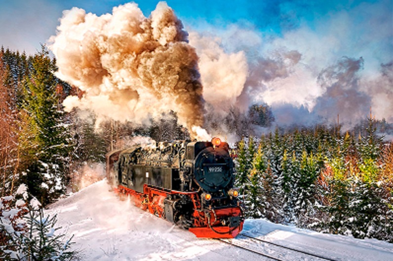 

Кастор пазлы 1000 "Паровоз" 68*47