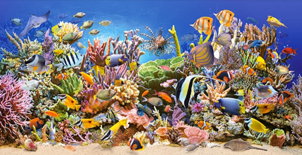 

Кастор пазлы 4000 "РИФ" 138*68