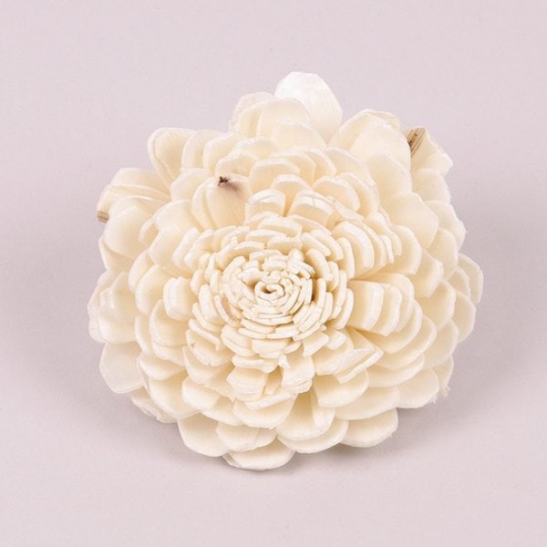 

Сухоцвет цветочек Sola Beli 8 см. 25 шт. Flora 69860