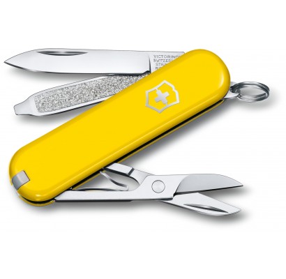 

Складной нож Victorinox CLASSIC SD Colors 0.6223.8G