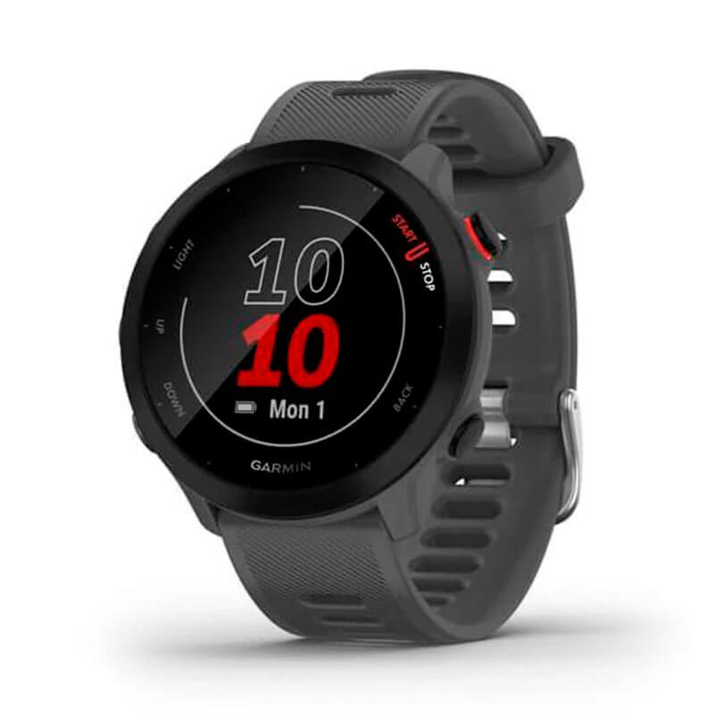 

Спортивные часы GARMIN Forerunner 55 Grey