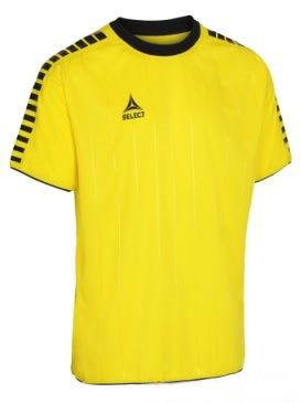 

Футболка Select Argentina player shirt желто-черная 4XS 622500-012