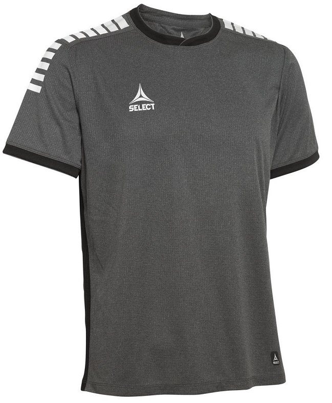 

Футболка SELECT Monaco player shirt серая S 620000-002
