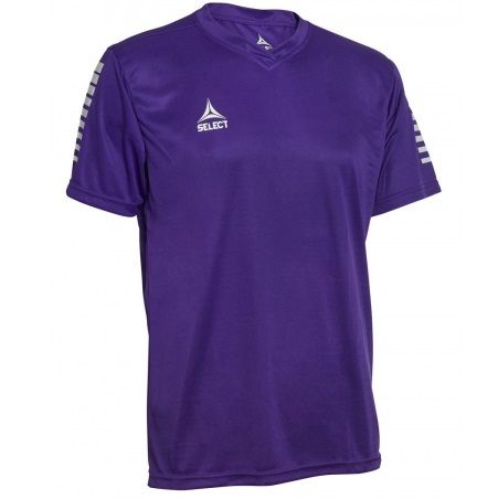 

Футболка игровая Select PISA PLAYER SHIRT фиолетовая 3XS 624130-009