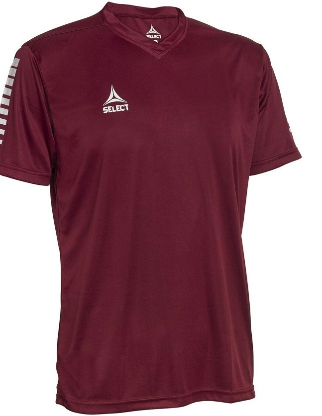 

Футболка SELECT Pisa player shirt бордовая L 624130-011