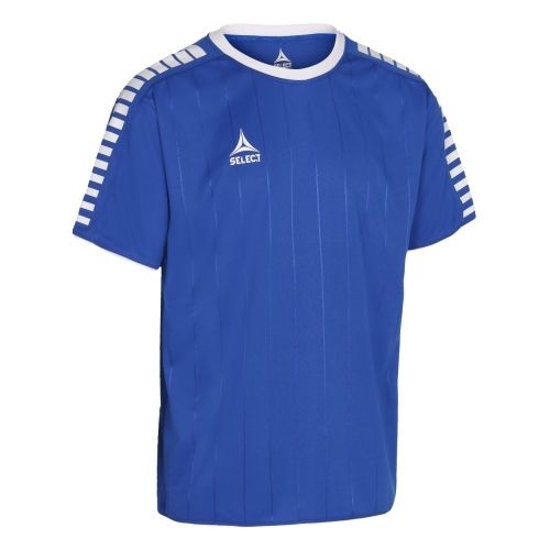 

Футболка Select Argentina player shirt синяя M 622500-008