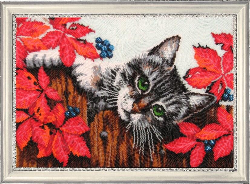 

Butterfly А вот и я (629)