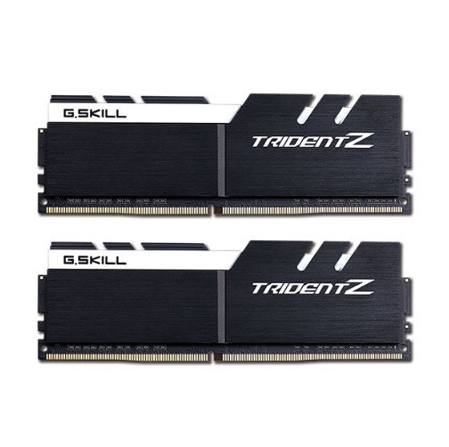 

G.Skill 16 GB (2x8GB) DDR4 3600 MHz (F4-3600C16D-16GTZKW)