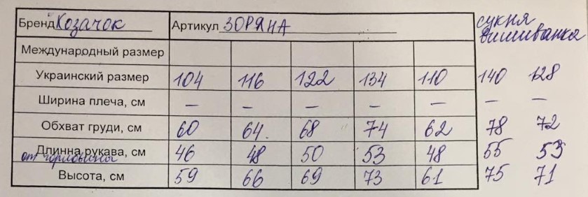 

Сукня Козачок ЗОРЯНА 110 Різнокольоровий