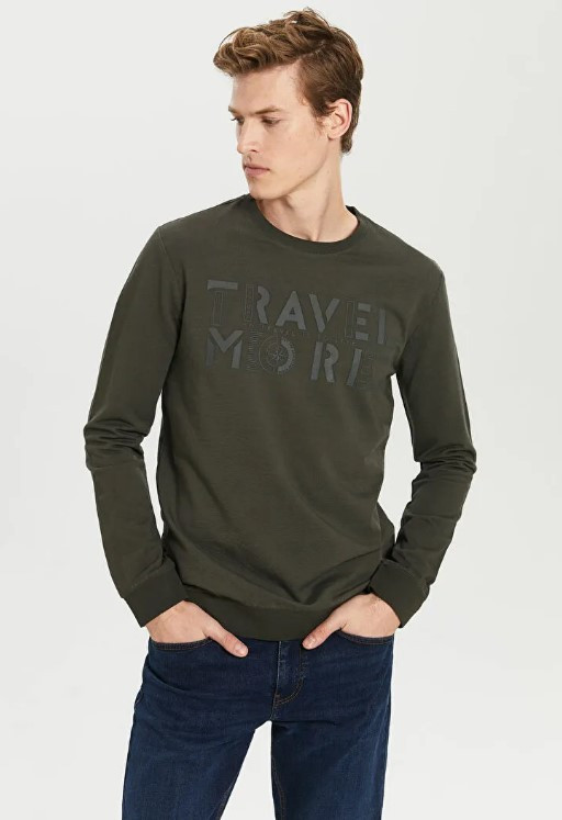 

Мужской реглан LC Waikiki с надписью Travel more M Хаки (LCWKnitwear-2760)