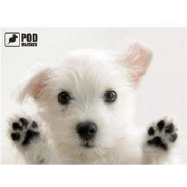 

Коврик для мыши Podmyshku Лапы вверх