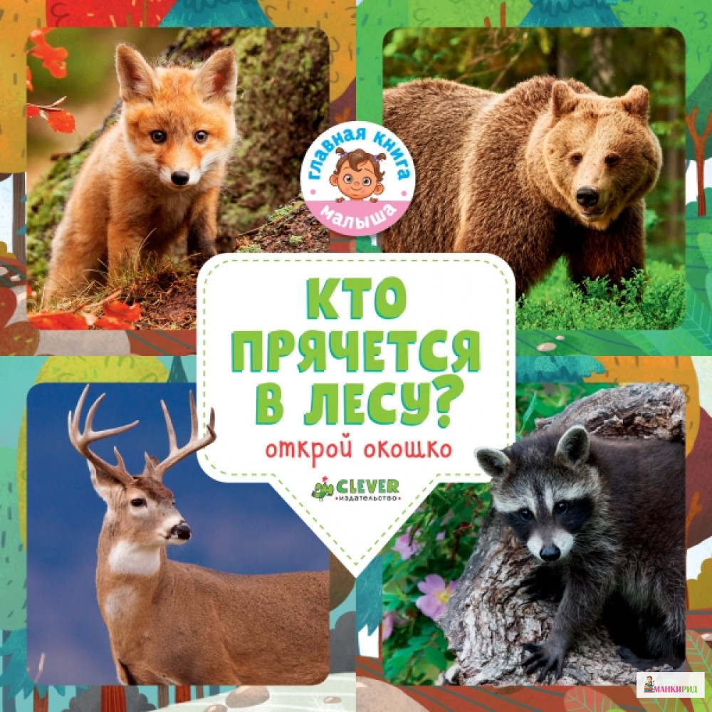 

Кто прячется в лесу - Ольга Уткина - Клевер-Медиа-Групп - 766743