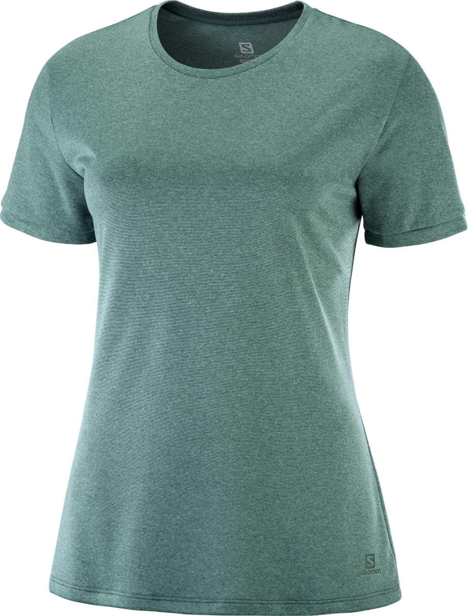 

Футболка SALOMON COMET CLASSIC TEE  серый sC10211, Футболка SALOMON COMET CLASSIC TEE XS серый sC10211-XS