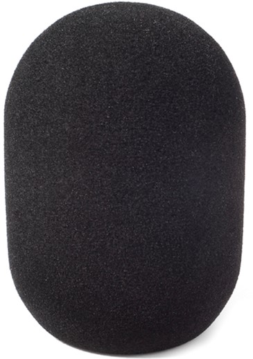 

Ветрозащита Rycote 45/(100 Large Diaphragm Mic Foam Single (104422)