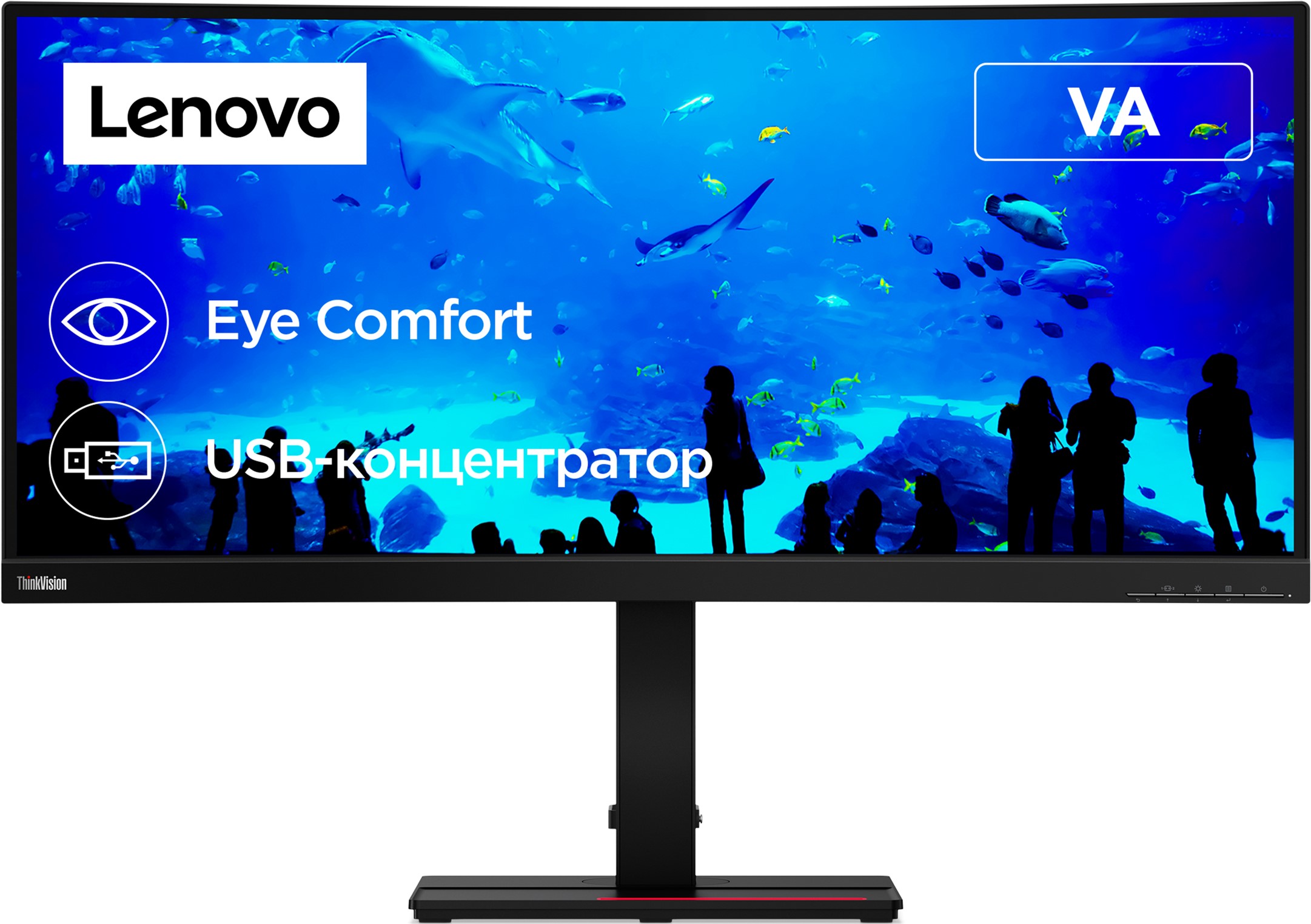 

Монитор 34" Lenovo ThinkVision T34w-20 (61F3GAT1UA)
