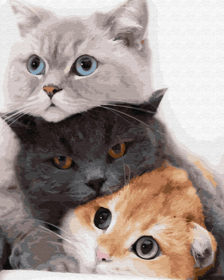 

Картина по номерам. Brushme "Котики - муркотики" GX34826