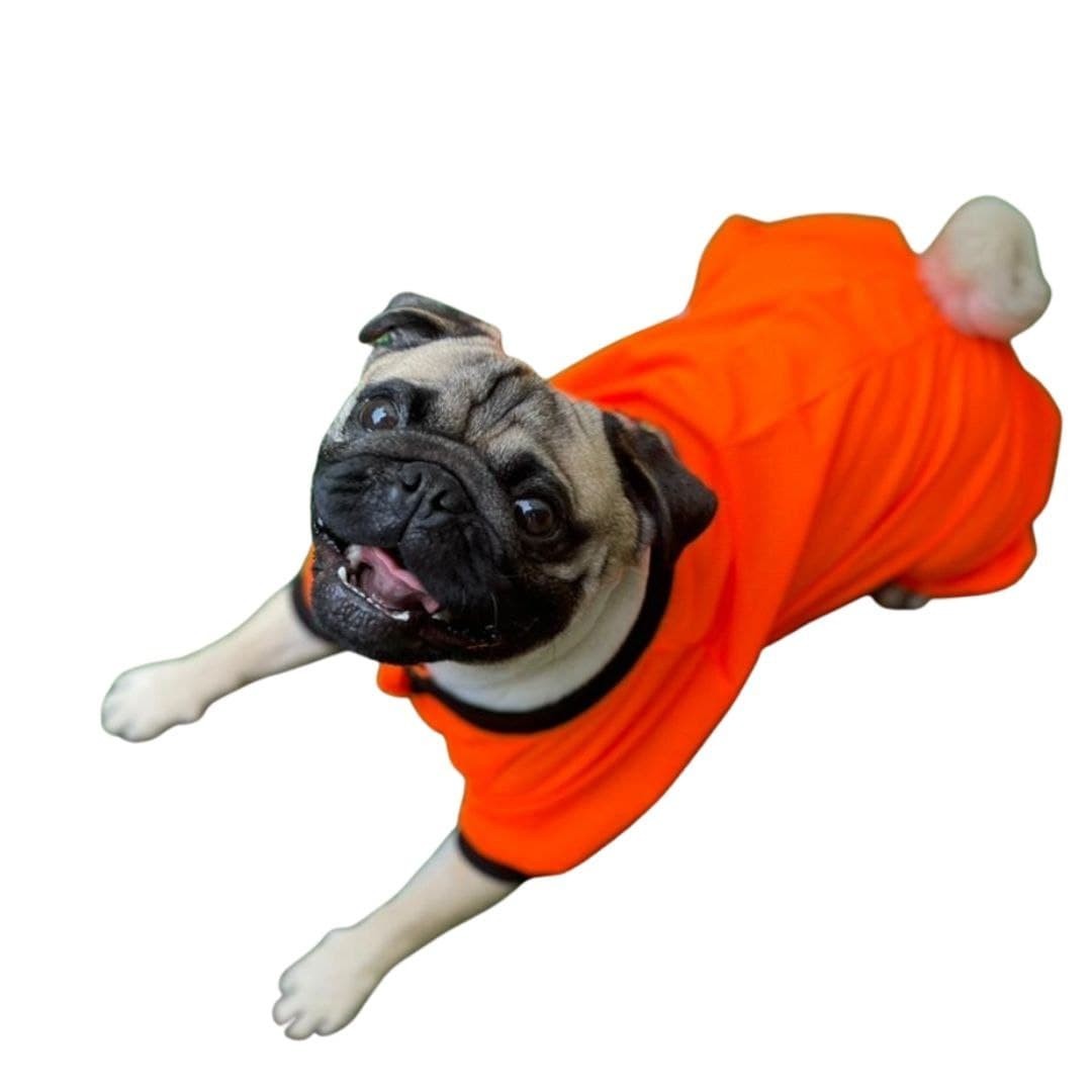 

Сетка Orange Летняя Для Собак Оранжевая S