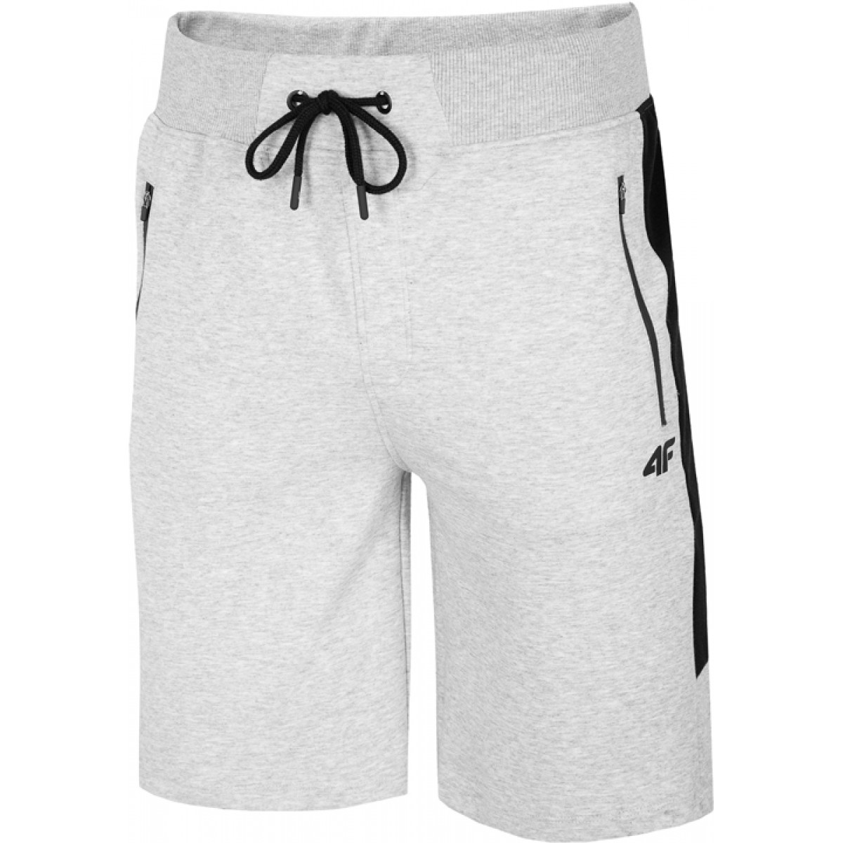 

Шорты 4F MENS SHORTS,  (50, Шорты 4F MENS SHORTS, XL (50)