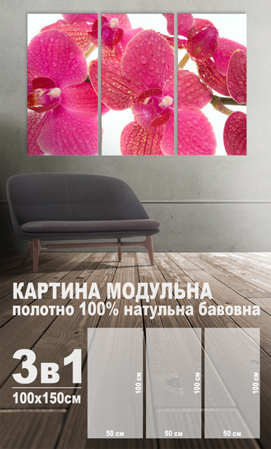 

Модульная картина на холсте 3 в 1 Розовая орхидея 100х150 см