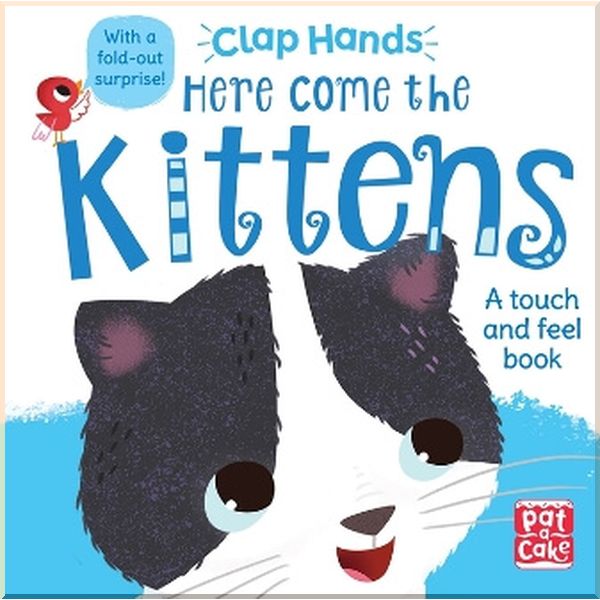 

Pat-a-cake Clap Hands: Here Come the Kittens. Hilli Kushnir. ISBN:9781526380074